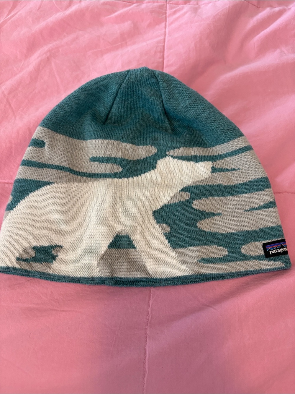 Patagonia best beanie hat winter